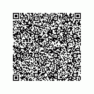 vCard 79833004208