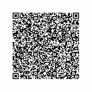 vCard 79833004285