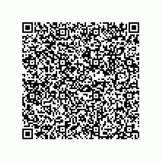vCard 79833004291