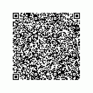 vCard 79833004300