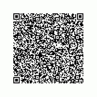 vCard 79833004305