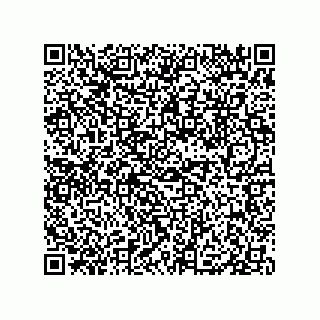 vCard 79833004307