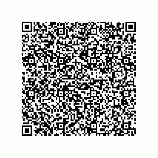 vCard 79833004319