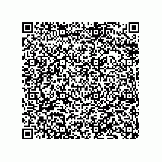 vCard 79833004381