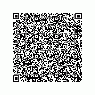 vCard 79833004384