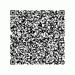 vCard 79833004405