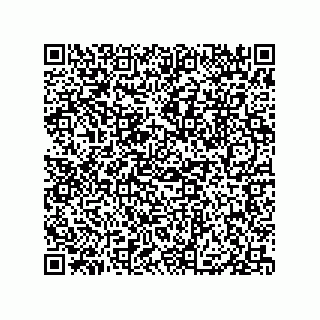 vCard 79833004411
