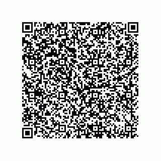 vCard 79833004533