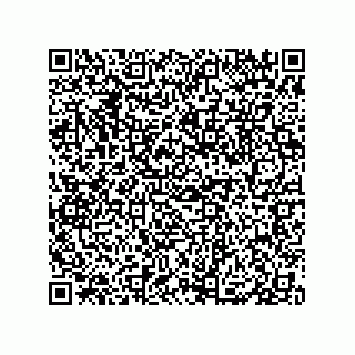 vCard 79833004618