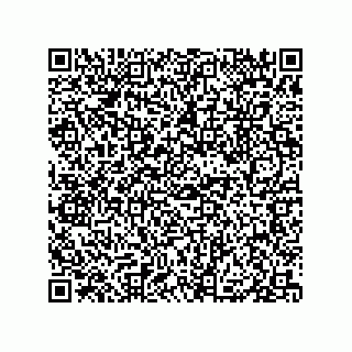 vCard 79833004621