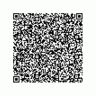 vCard 79833004629