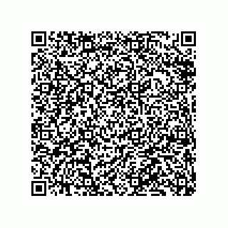 vCard 79833004641