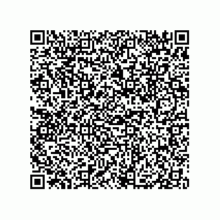 vCard 79833004678