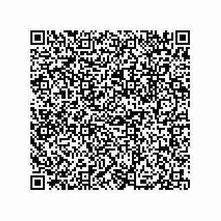 vCard 79833004729