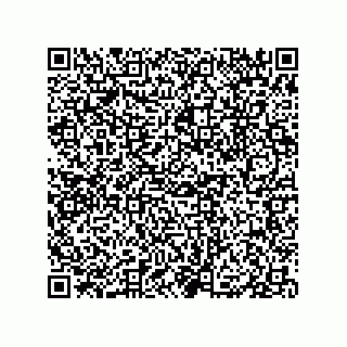 vCard 79833004733