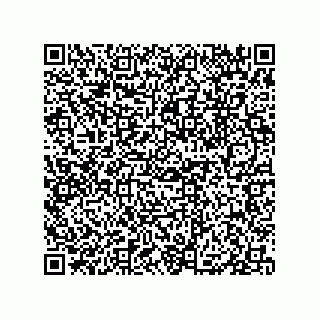 vCard 79833004735