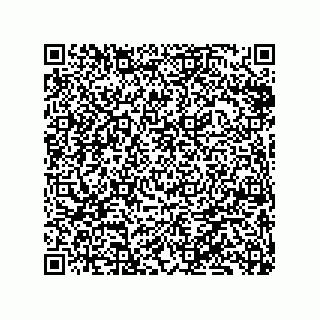 vCard 79833004811