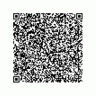 vCard 79833004813