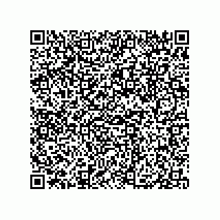 vCard 79833004875