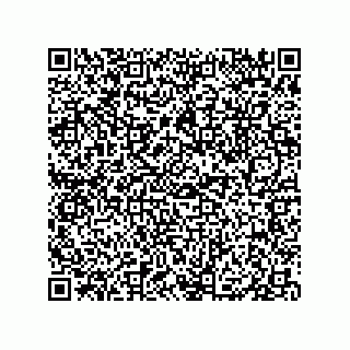 vCard 79833004903