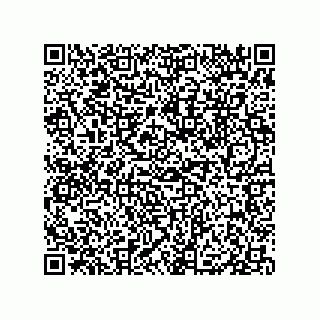 vCard 79833004913