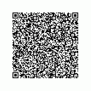 vCard 79833004963