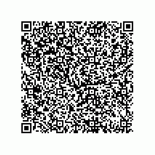 vCard 79833005013
