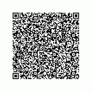 vCard 79833005035