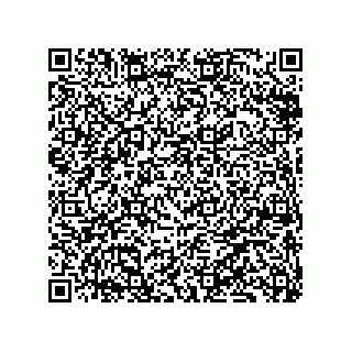 vCard 79833005039