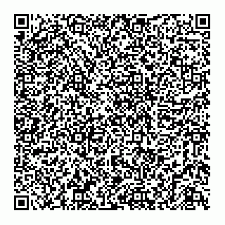 vCard 79833005040