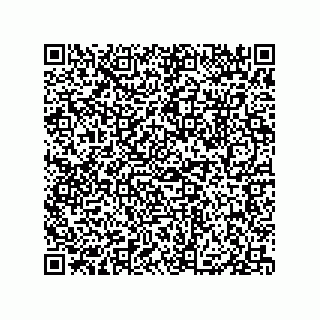 vCard 79833005041
