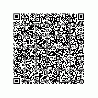 vCard 79833005133
