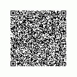 vCard 79833005135
