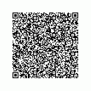 vCard 79833005187