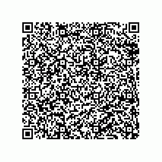 vCard 79833005203