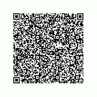 vCard 79833005207