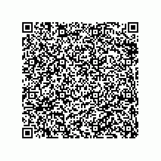 vCard 79833005295