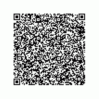 vCard 79833005299