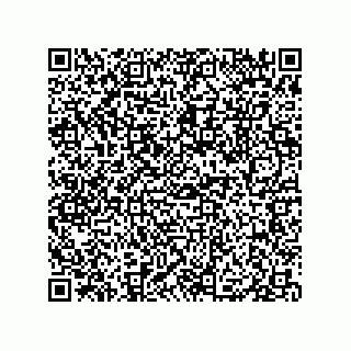 vCard 79833005313