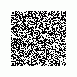 vCard 79833005332