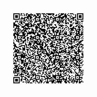 vCard 79833005333