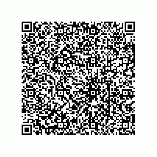 vCard 79833005339