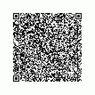 vCard 79833005343