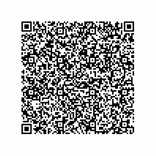 vCard 79833005359