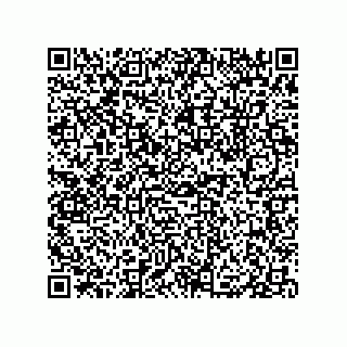 vCard 79833005363