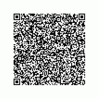 vCard 79833005388