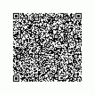 vCard 79833005407