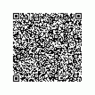 vCard 79833005408