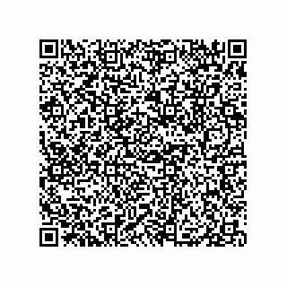 vCard 79833005413