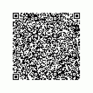 vCard 79833005432